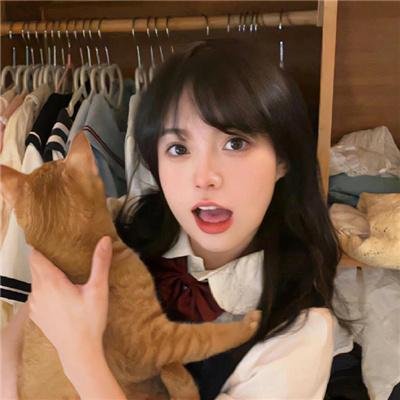 铁石心肠2019